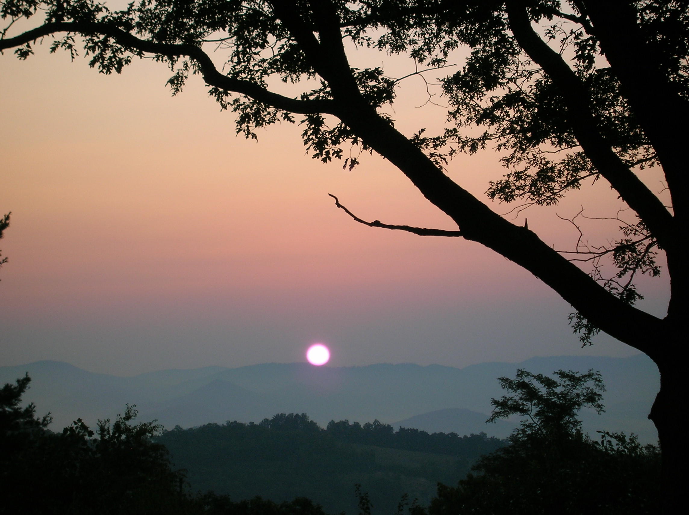 Butler Mountain Estates